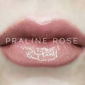 LipSense by Senegence. Shade: Praline Rose. NWT.